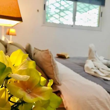 V Maravillosas Calas En Apartamento